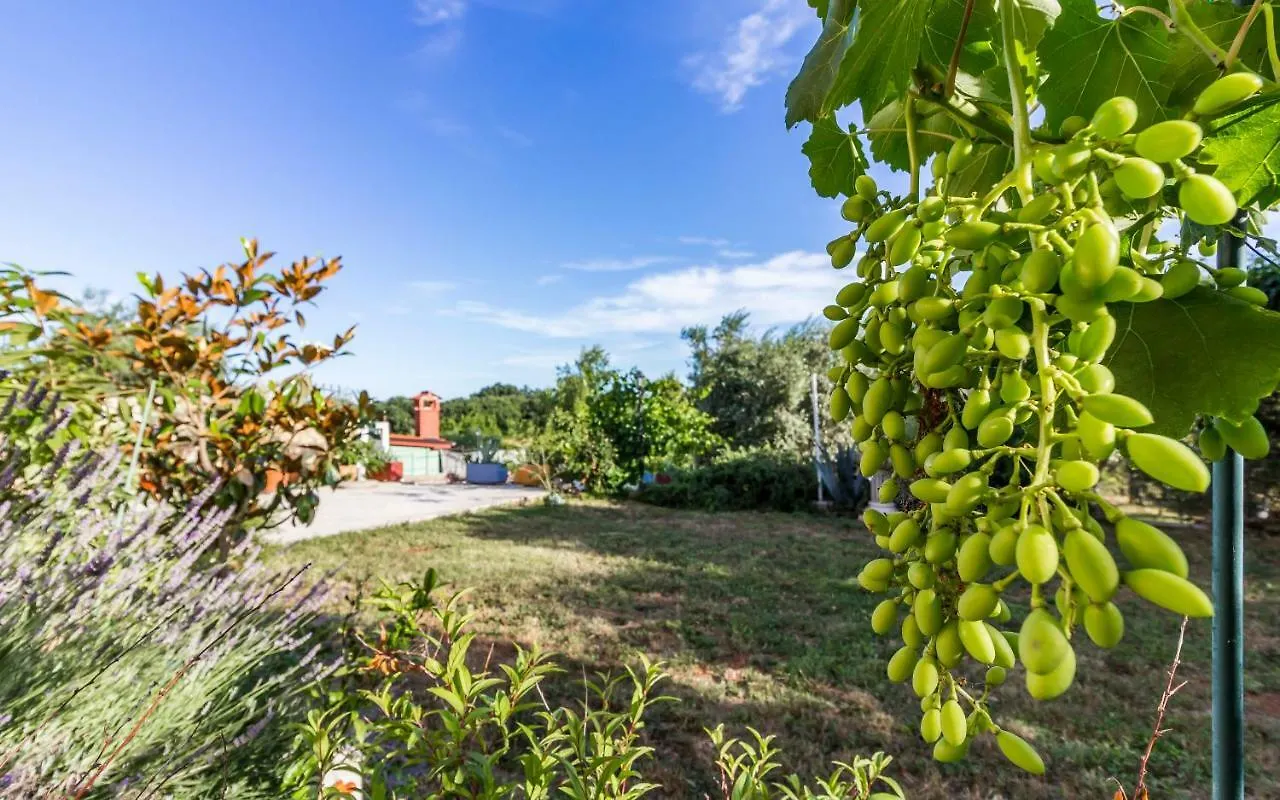 Apartment Mika Pula 0*,  Croatia